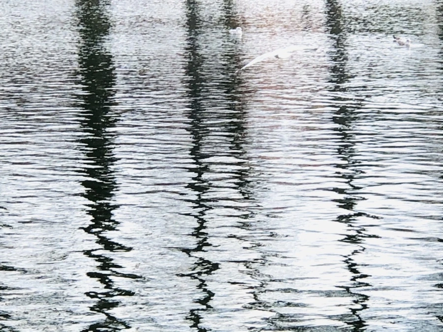 IMG_8735.jpg?type=w966