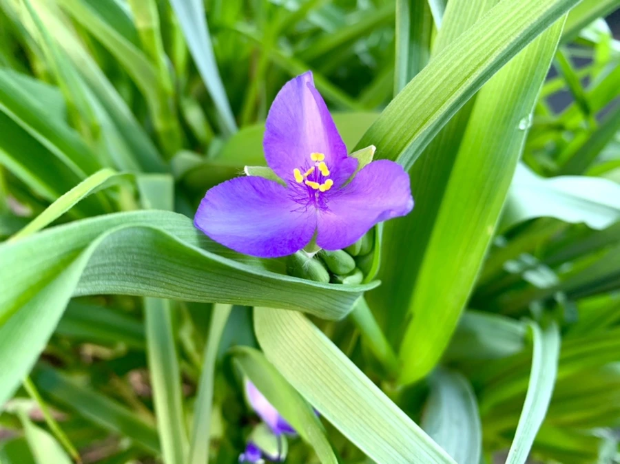 IMG_0532.jpg?type=w966