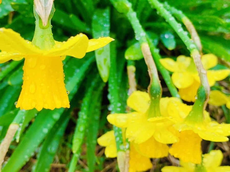 IMG_5022.jpg?type=w966