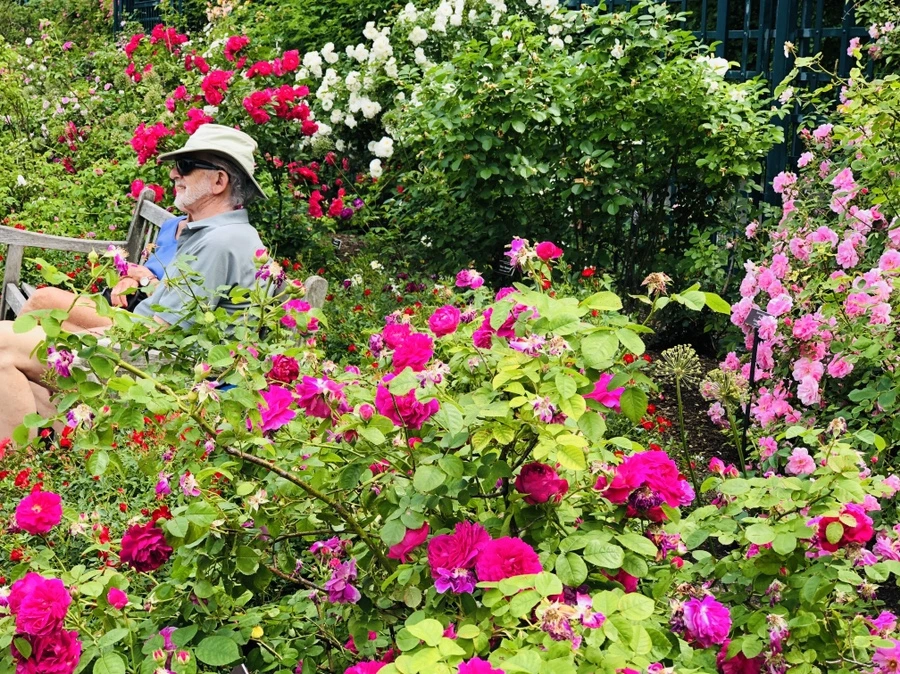 AsX3ULLrhd-Ar4RdWPBxFRSsXQQ