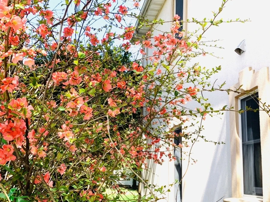 TWcolocJMGJnlEJqebWGPrjHOCI