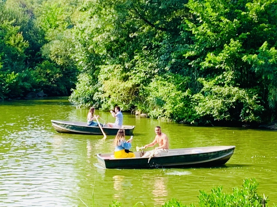 IMG_0654.jpg?type=w966