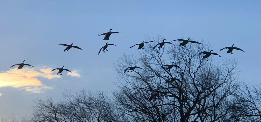 u3KpOLdVuXKc3wPUFCnZlX7LGcY