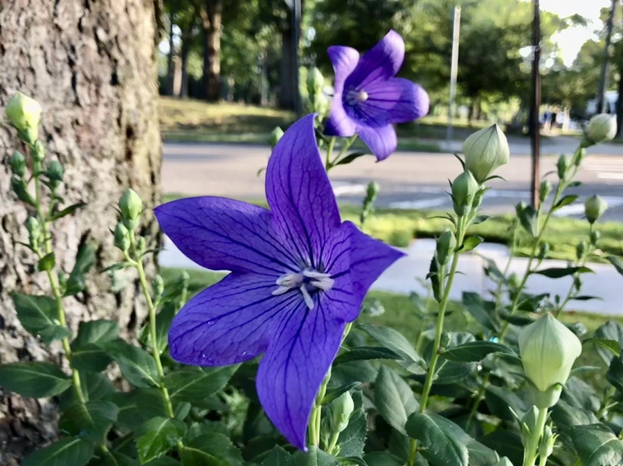 IMG_1493.jpg?type=w966