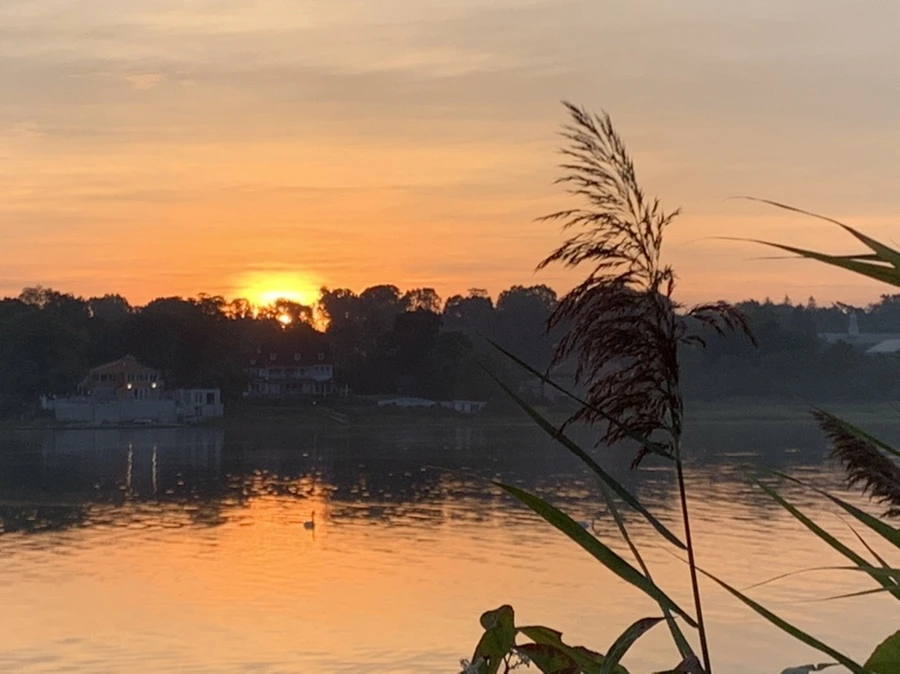 IMG_6828.jpg?type=w966