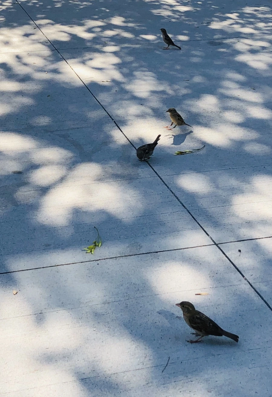 IMG_3469.jpg?type=w966