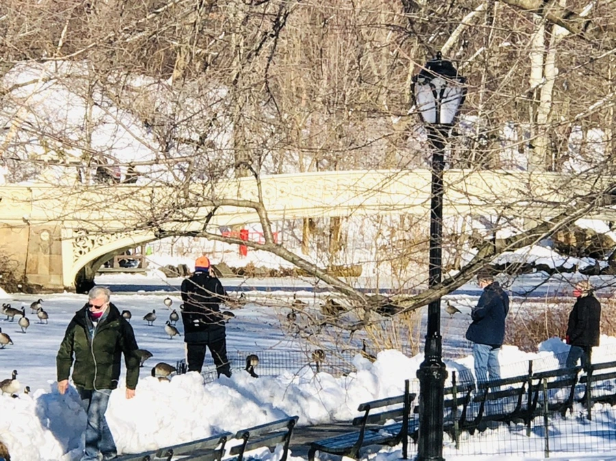 IMG_9837.jpg?type=w966