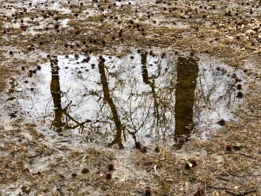 IMG_6542.jpg?type=w966