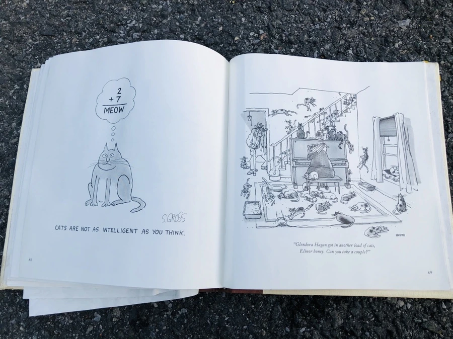 IMG_1765.jpg?type=w966