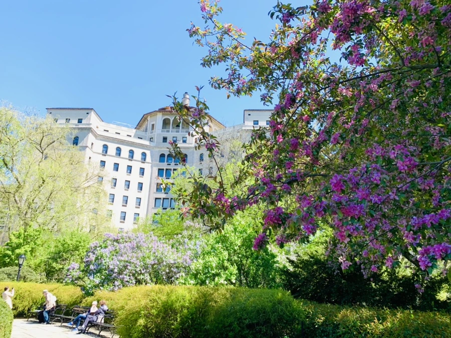 IMG_5740.jpg?type=w966