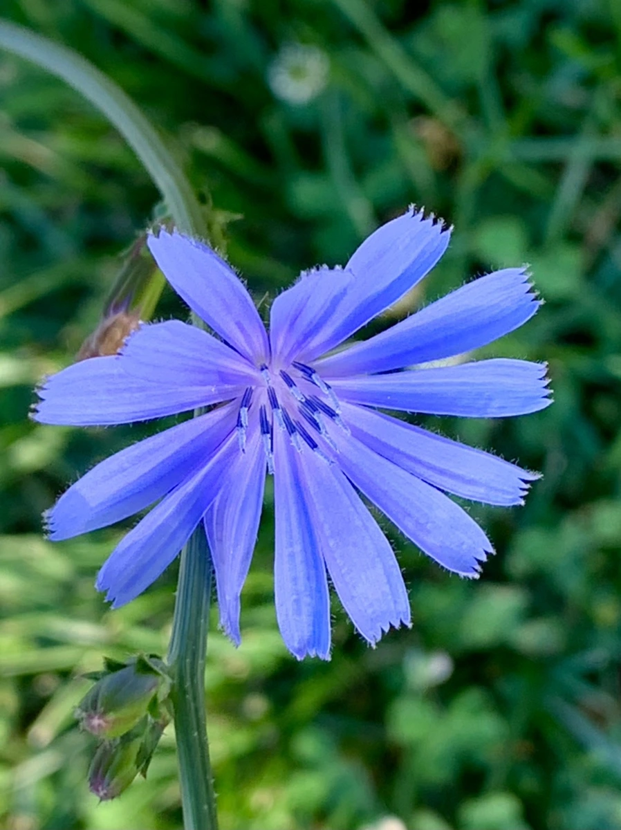 IMG_5242.jpg?type=w966