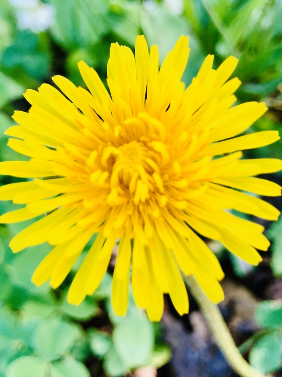 IMG_8323.jpg?type=w966