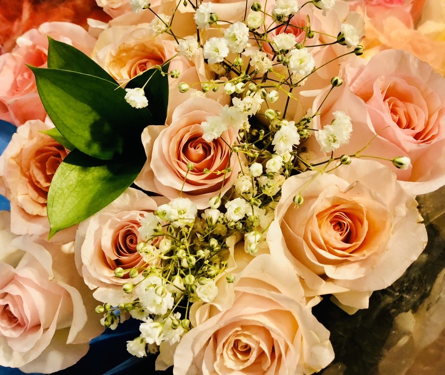 IMG_4803.jpg?type=w966