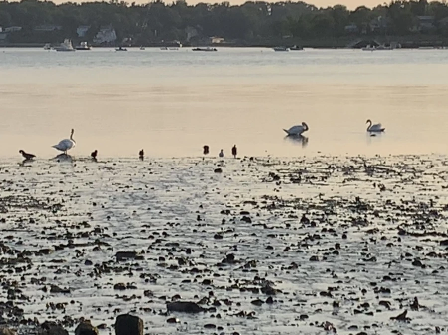 IMG_9767.jpg?type=w966