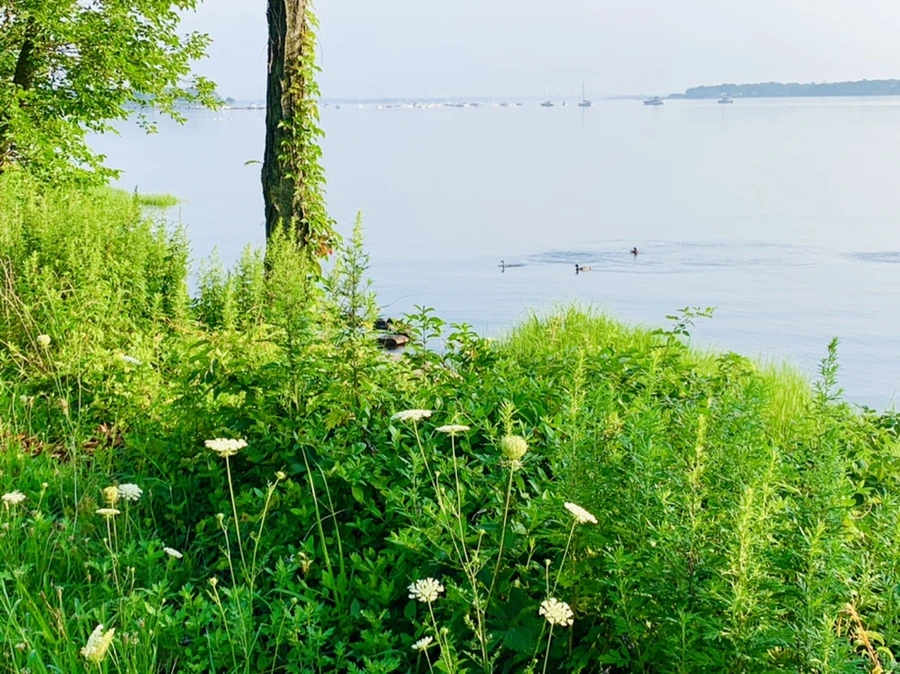 IMG_6517.jpg?type=w966