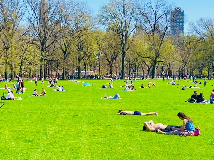 IMG_0647.jpg?type=w966