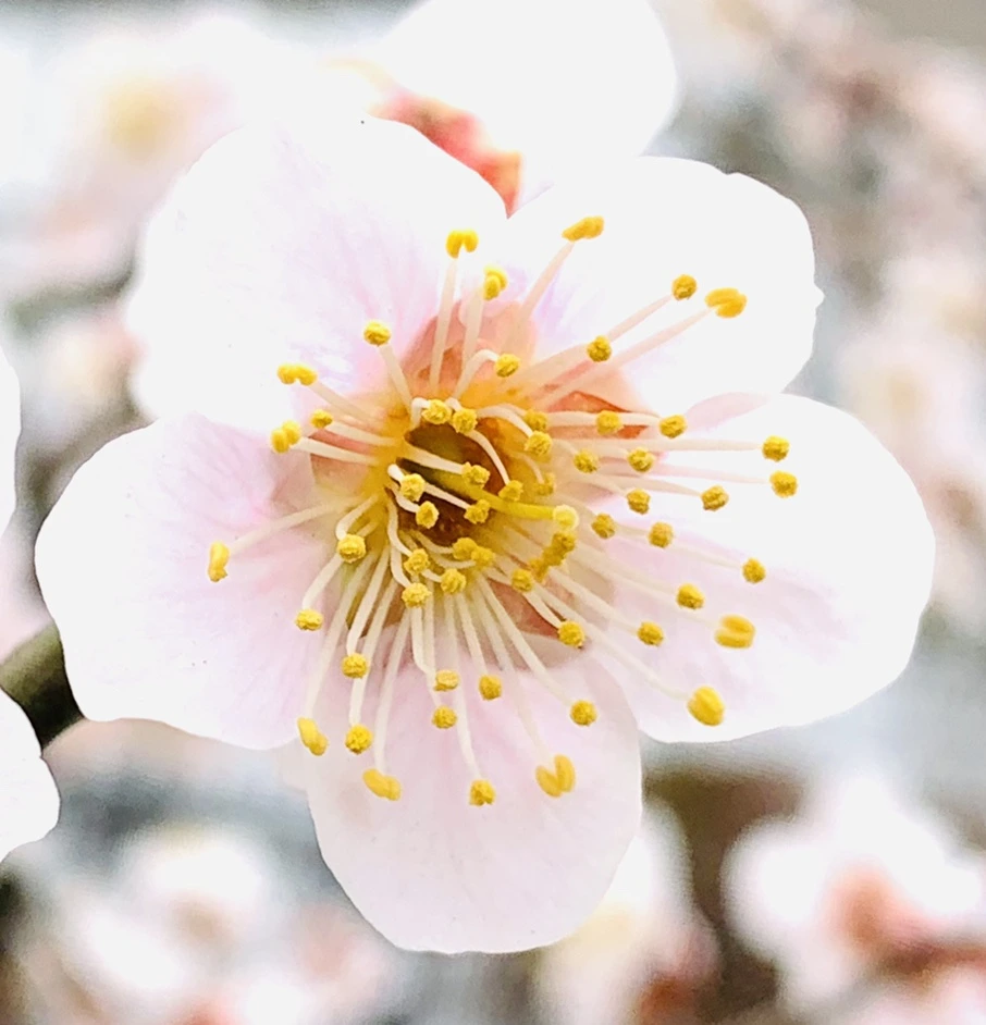 IMG_1705.jpg?type=w966