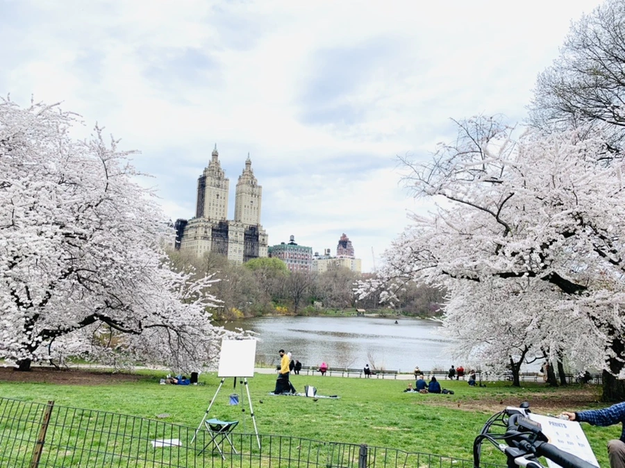 IMG_9751.jpg?type=w966