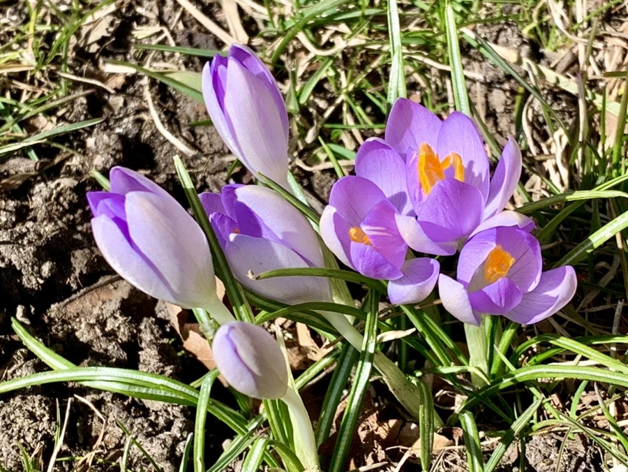 IMG_8202.jpg?type=w966