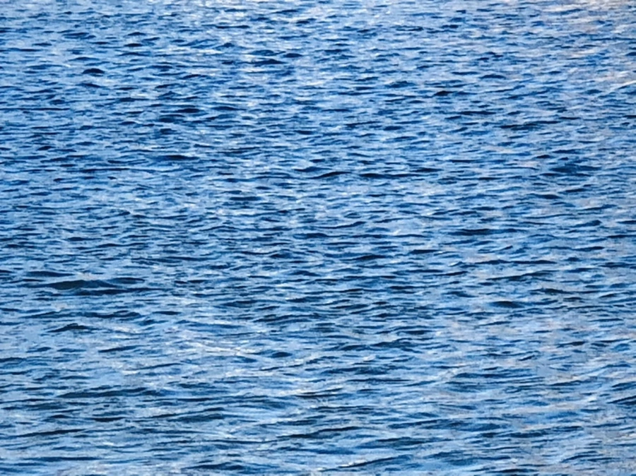 IMG_3755.jpg?type=w966