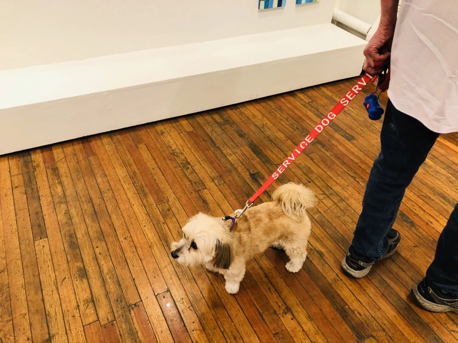 IMG_4404.jpg?type=w966