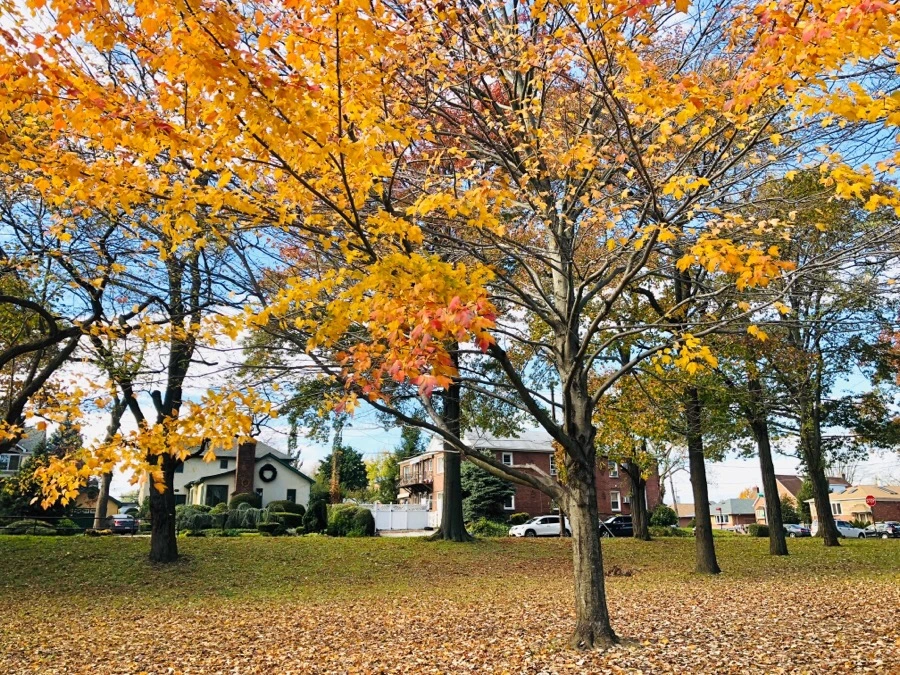 IMG_7495.jpg?type=w966