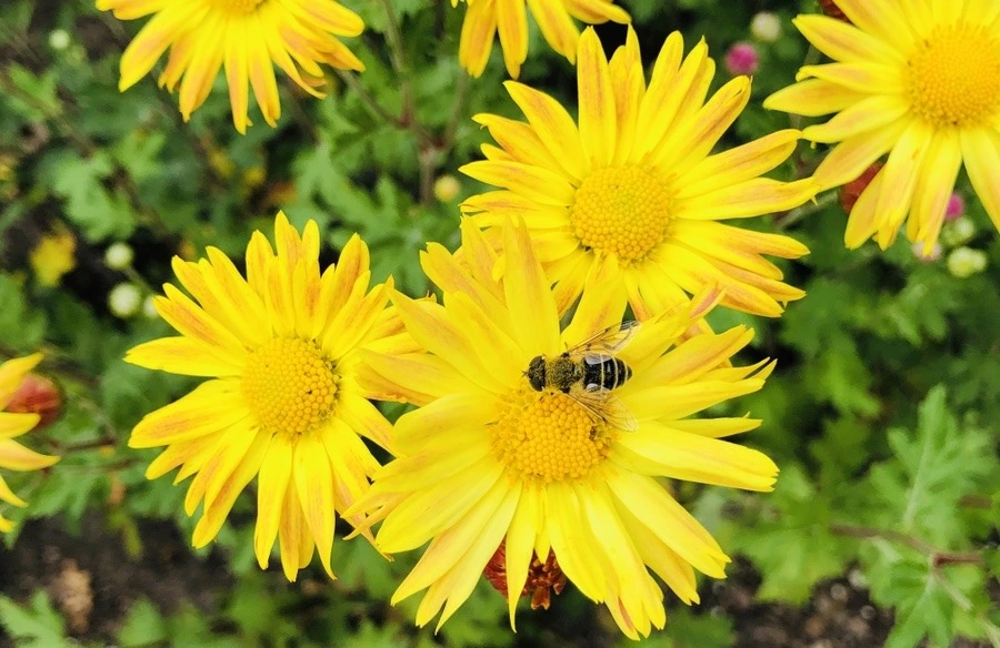 BKNWqb-nM6DVMCw0tll2yoKHFzQ