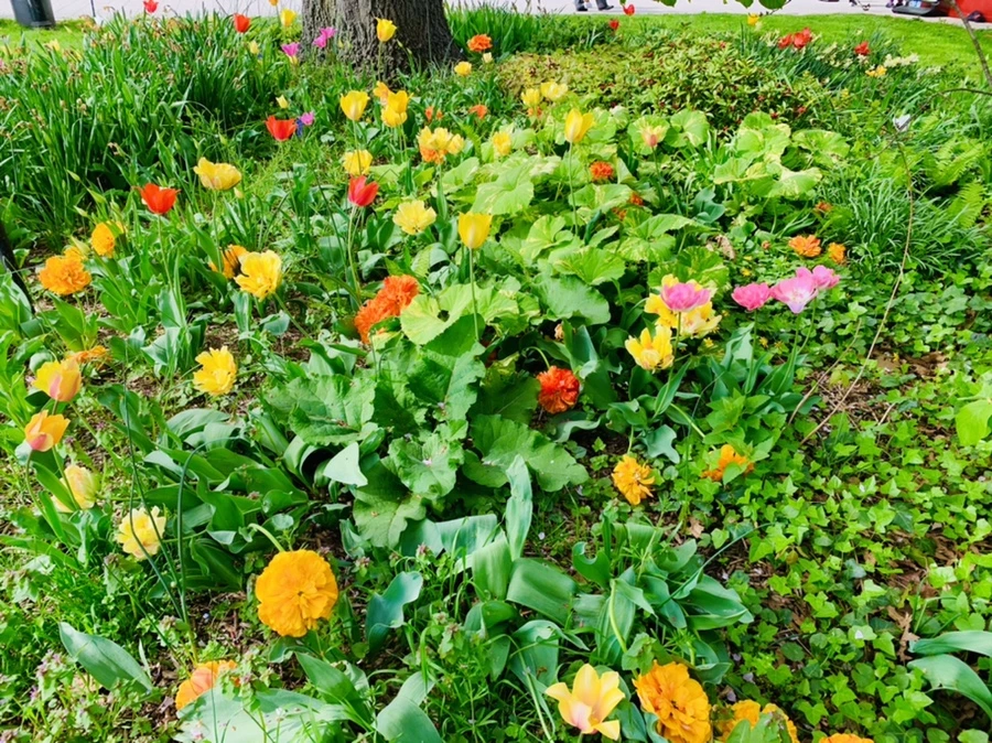 IMG_6998.jpg?type=w966