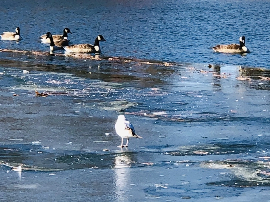 IMG_6570.jpg?type=w966