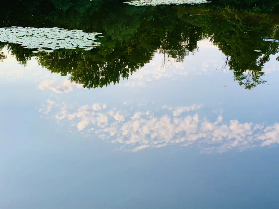 IMG_0748.jpg?type=w966