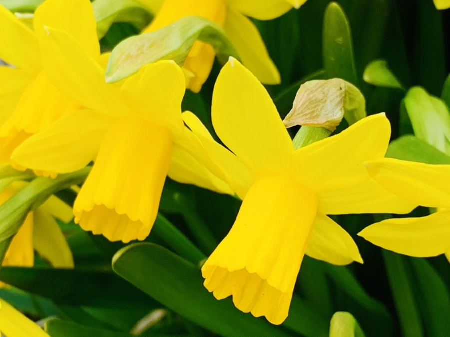 IMG_3223.jpg?type=w966