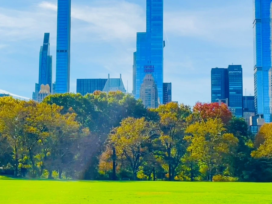 IMG_0231.jpg?type=w966