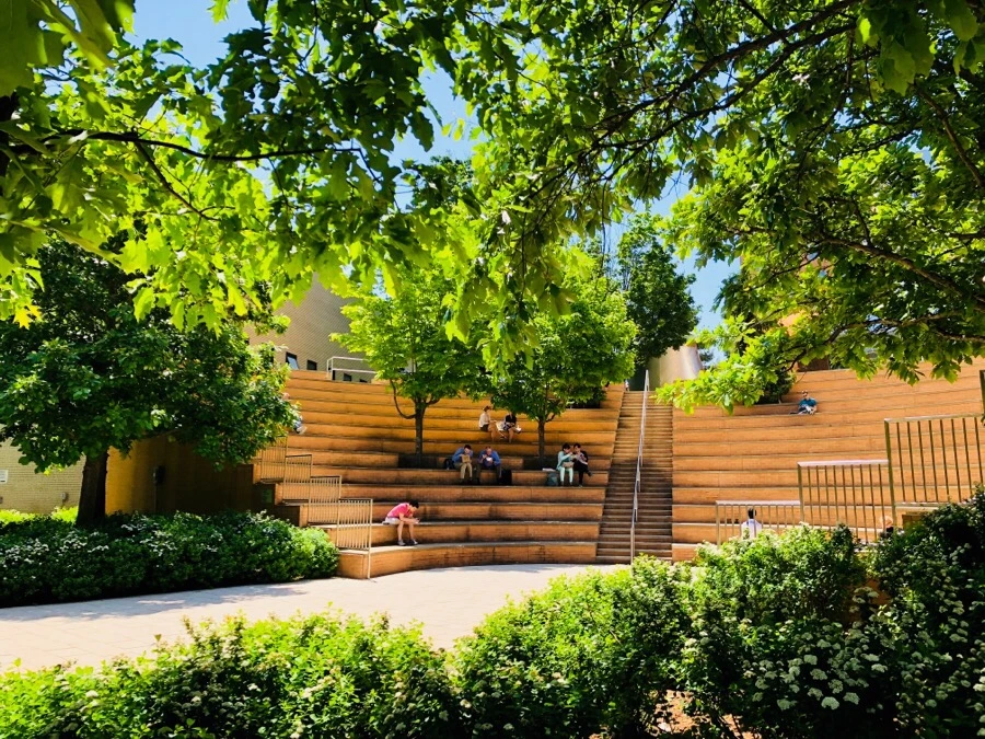 IMG_6894.jpg?type=w966