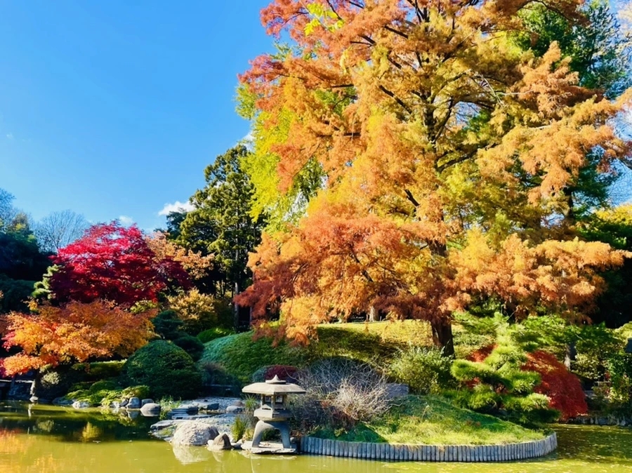 IMG_3040.jpg?type=w966