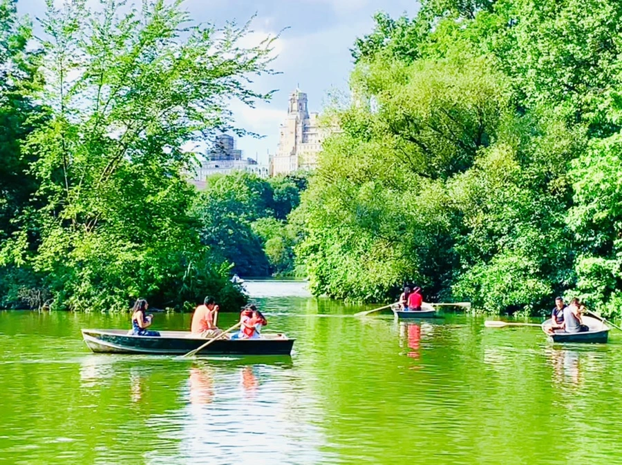 IMG_3437.jpg?type=w966