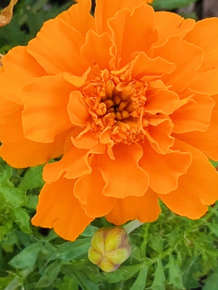 IMG_8353.jpg?type=w966