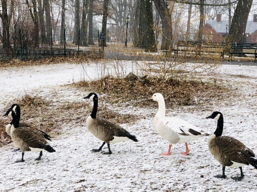 YpELQoE9o33CJsXQzAMBChOJpJc