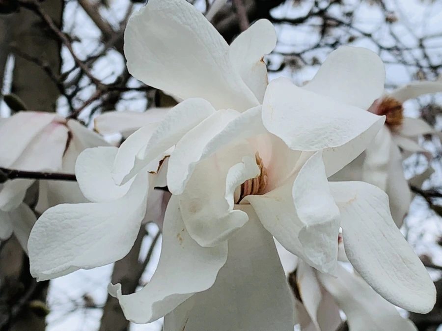 IMG_5930.jpg?type=w966