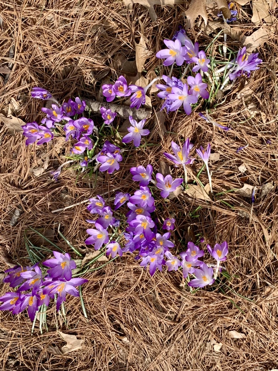 IMG_0446.jpg?type=w966