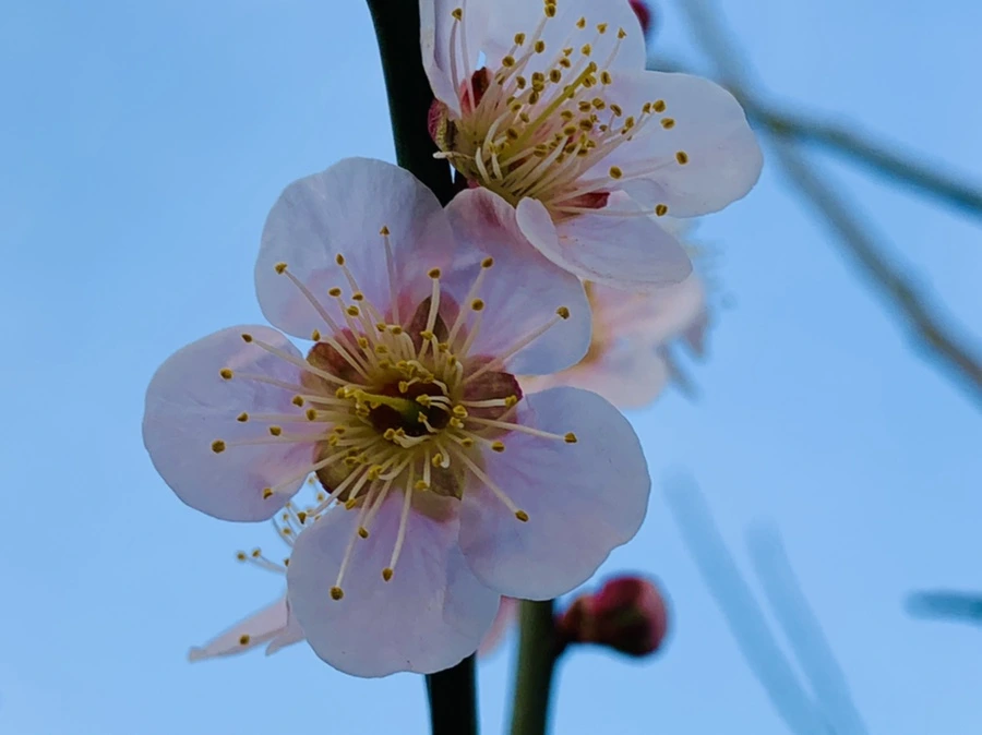 IMG_2749.jpg?type=w966