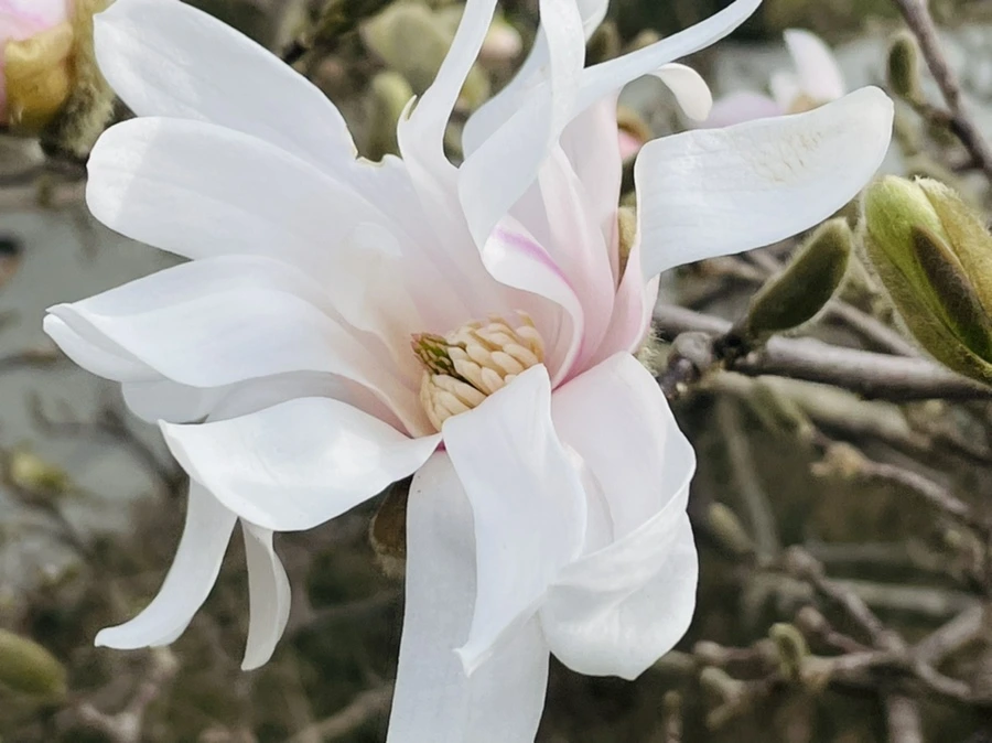 IMG_6703.jpg?type=w966