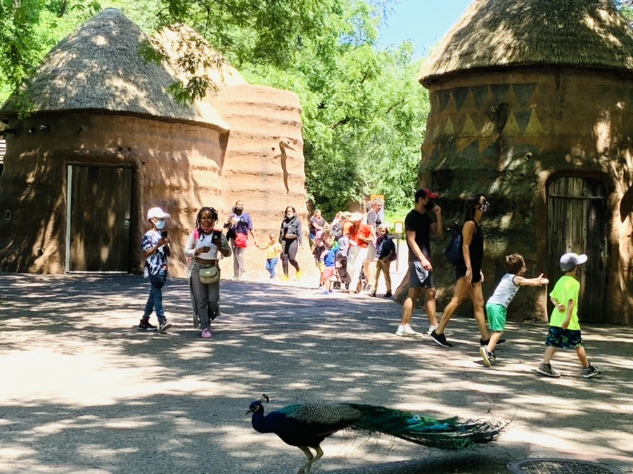 IMG_4205.jpg?type=w966