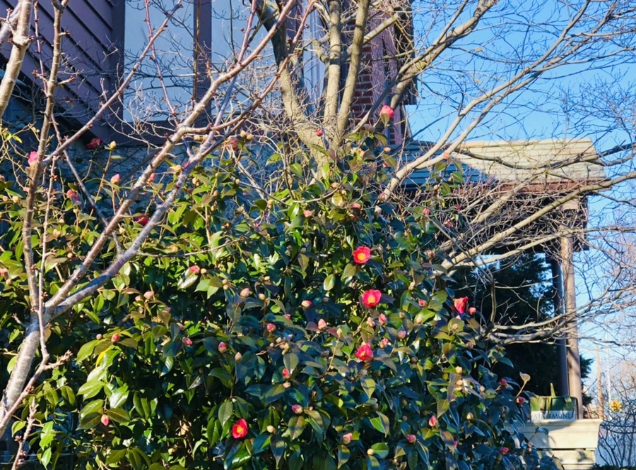 IMG_0325.jpg?type=w966