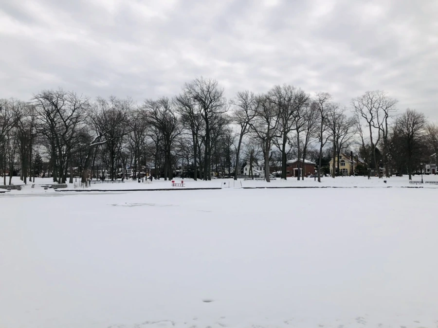 IMG_2333.jpg?type=w966