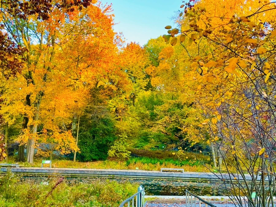 IMG_1939.jpg?type=w966