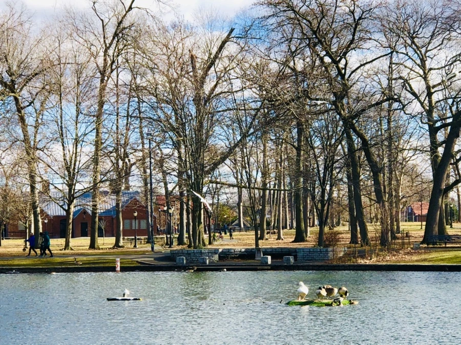 IMG_9225.jpg?type=w966