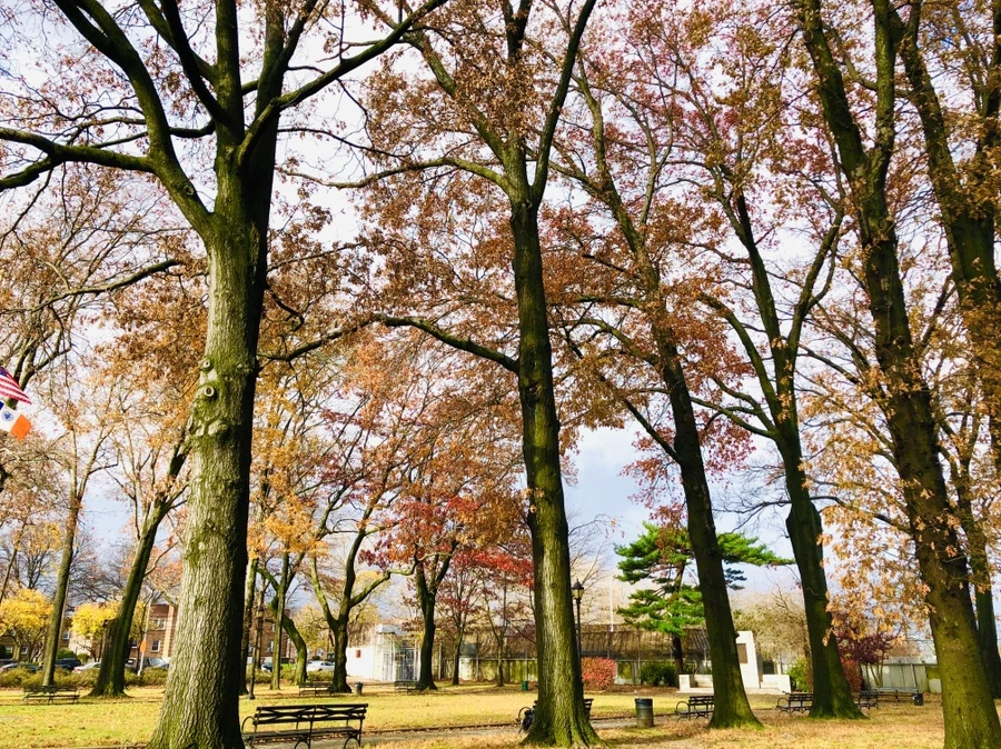 IMG_5501.jpg?type=w966