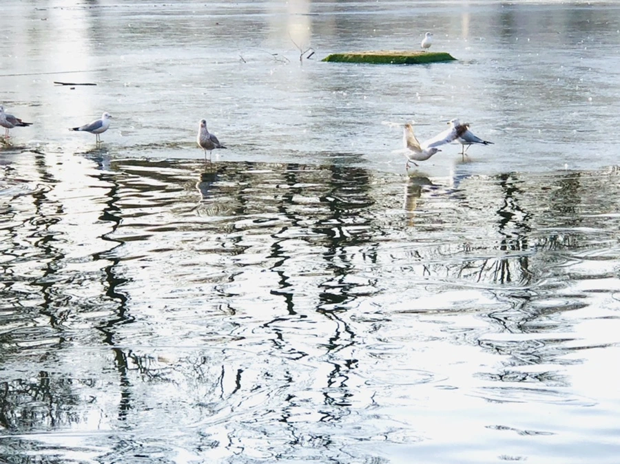 IMG_2690.jpg?type=w966