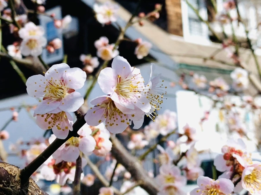 IMG_0976.jpg?type=w966