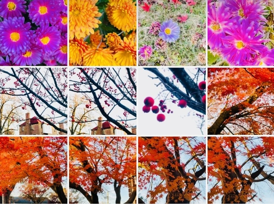 Wss8hnWF8nTRIJOT9IVs6DbfCV8